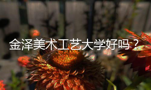 金泽美术工艺大学好吗?