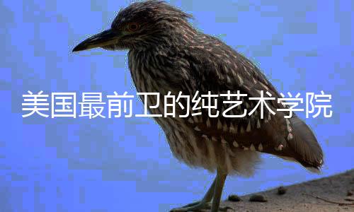 美国最前卫的纯艺术学院——加州艺术学院CalArts!