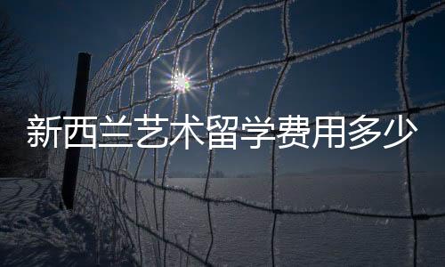 新西兰艺术留学费用多少?