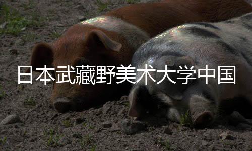 日本武藏野美术大学中国留学生多吗?
