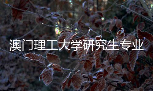 澳门理工大学研究生专业有哪些?