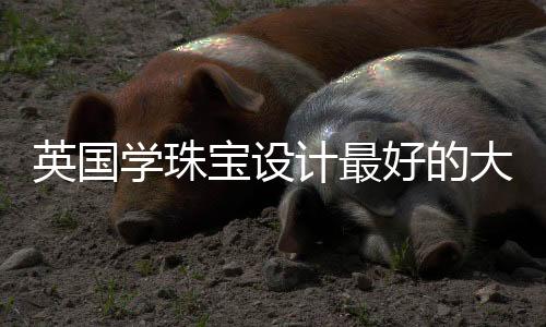 英国学珠宝设计最好的大学有哪些?
