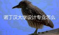 诺丁汉大学设计专业怎么样？