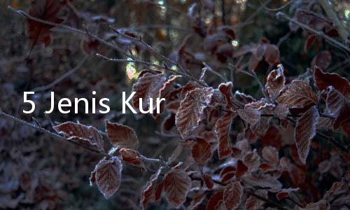 5 Jenis Kurma Terbaik di Dunia, Adakah Favoritmu?
