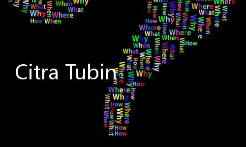 Citra Tubindo (CTBN) Guyur Dividen Rp530 per Saham, Hampir 100% Laba