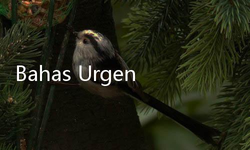 Bahas Urgensi Pengesahan RUU Perampasan Aset, DPP IKA UII Gelar Diskursus Bersama Ahli dan Tokoh