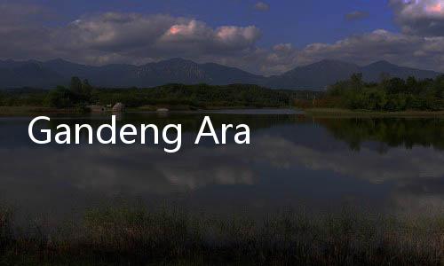 Gandeng Arasoft, Pemkot Tangerang Selatan Genjot Transformasi Digital