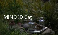 MIND ID Catat Pendapatan Rp145,2 Triliun di 2024