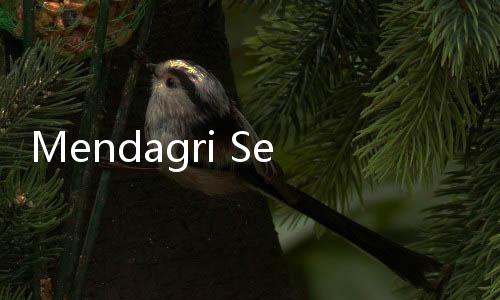 Mendagri Setuju Jika Bansos Dihentikan Selama Pilkada