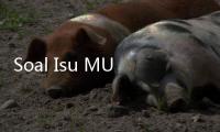 Soal Isu MUI DKI
