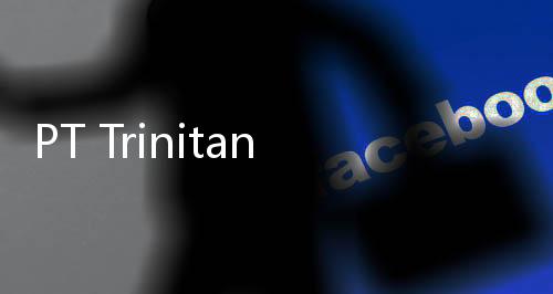 PT Trinitan Metals and Mineral Tbk Digugat Wanprestasi Senilai ¥1,3 M oleh Perusahaan Jepang