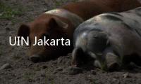 UIN Jakarta Buka Pendaftaran Program S