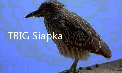 TBIG Siapkan Capex Rp4 Triliun, Bangun Menara & Fiber Optik di Tengah Perang Operator