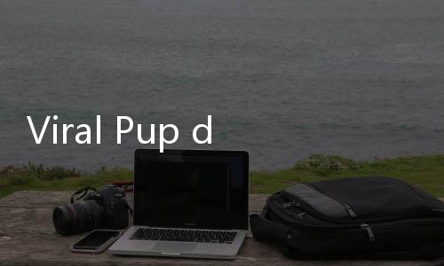 Viral Pup di Hanteo Music Awards, Ini 7 Makanan yang Merangsang BAB